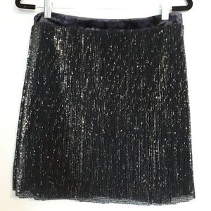 Sequin Skirt Dark Navy NWOT